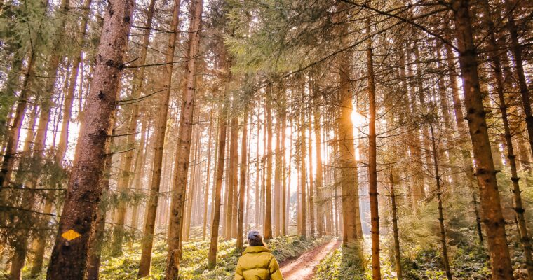 Umweltbewusst reisen – wie die Krise unsere Urlaubsplanung nachhaltig beeinflussen wird